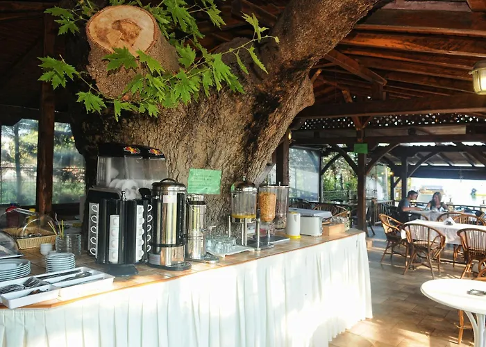 Haus Platanos & By The Sea Appartamento Vourvourou