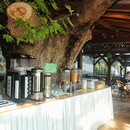 Haus Platanos & By The Sea Appartement Vourvourou